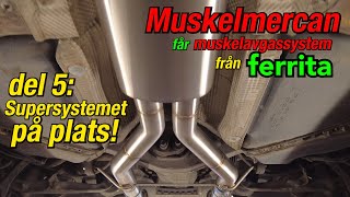 Muskelmercan får Ferrita del 5: nytt system!