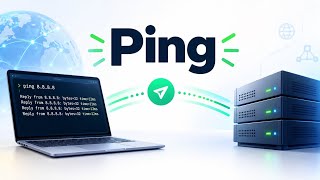 What is Ping  The Truth About Latency