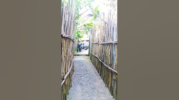 Đường Ở Lâm Đồng Mà Tưởng Ở Bình Thuận #baoloc #lamdong #binhthuan #dulich