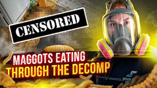 Maggots Eating Through The Decomp!!!