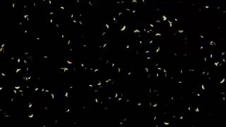 Falling yellow scattered Motion Background