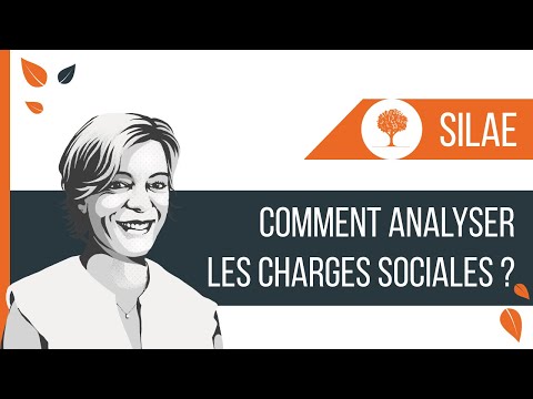 SILAE - Comment analyser les charges sociales ?