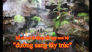 Hồ cá koi di động kết hợp non bộ "đường sang tây trúc"mới thả cá