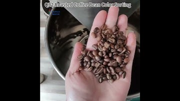Small Roasted Coffee Bean Color Sorter Q32