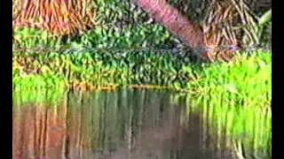 Deslocamento da Ilha Flutuante no Lago Formoso Penalva MA