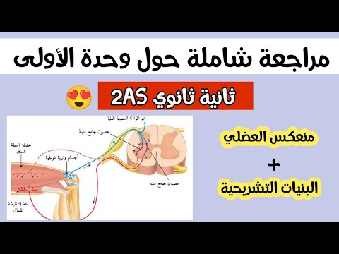 ثانية ثانوي مراجعة شاملة و مفصلة للوحدة الأولى الجزء الأول المنعكس العضلي البنيات التشريحية