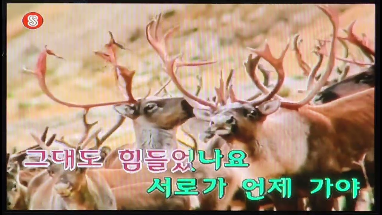 [KY MUZEN III] 아마도 사랑이겠죠 - 장나라