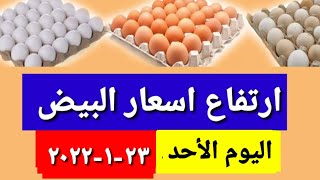 اسعار البيض اليوم | سعر البيض الأبيض- الاحمر - البلدي اليوم الأحد ٢٣-١-٢٠٢٢ سعر كرتونه البيض الأبيض