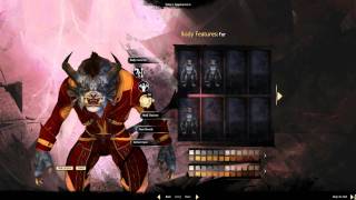 Guild Wars 2 - Charr Character Selection