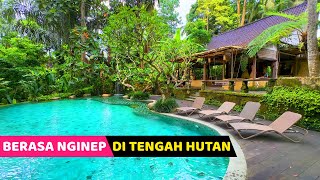 HEALING MANTAP 'DI TENGAH HUTAN'...! Pramana Giri Kusuma | Hotel Bagus di Ubud Bali
