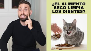 ¿El alimento seco limpia o ensucia los dientes de los gatos?