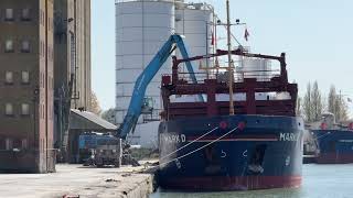 Eems Servant and Mark D freighters in #Sharpness -#Dock #swan #shorebirds #AONB