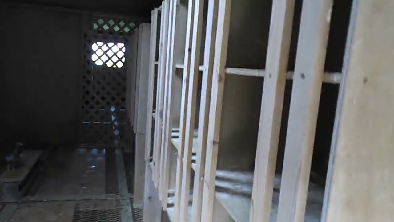 ２０２２－０６－２４　本邦初公開　３０００羽収容鳩舎内部