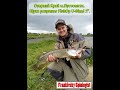 Озерний Край м.Пустомити. Щука розриває FishUp U-Shad 2".