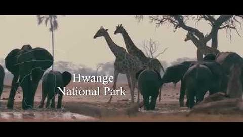 Zimbabwe A World Of Wonders - Destination Video (Short Version)