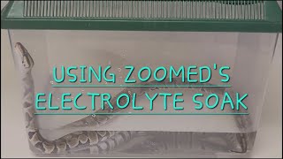 Using ZooMed's REPTILE electrolyte soak