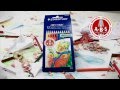 Staedtler Ergosoft Coloured Pencils Advertisement - Jackson&#39;s Art