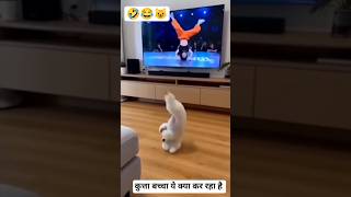 dog ye tum kya kar rahe ho..🤣😺 | funny cats #funny #shorts #comedy #trending #funnydogs #dog #viral
