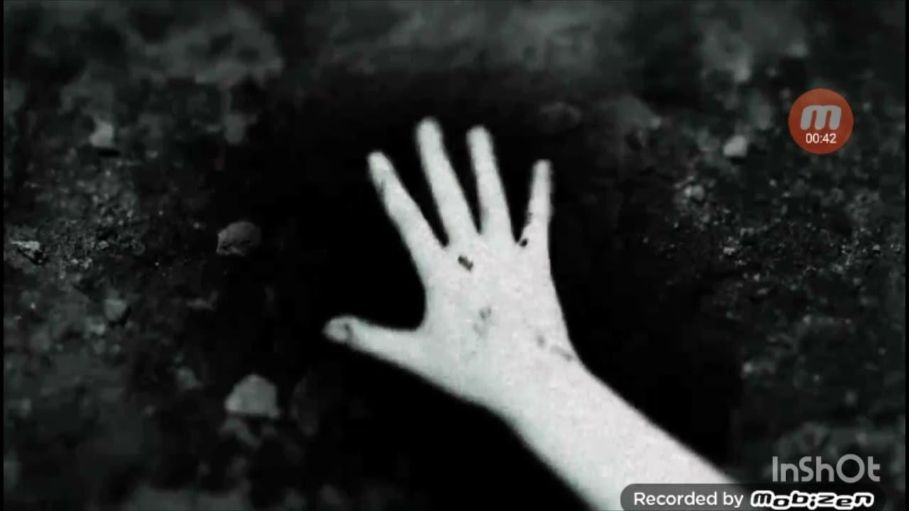 Reporter 2 Трейлер - дата выхода 15октября