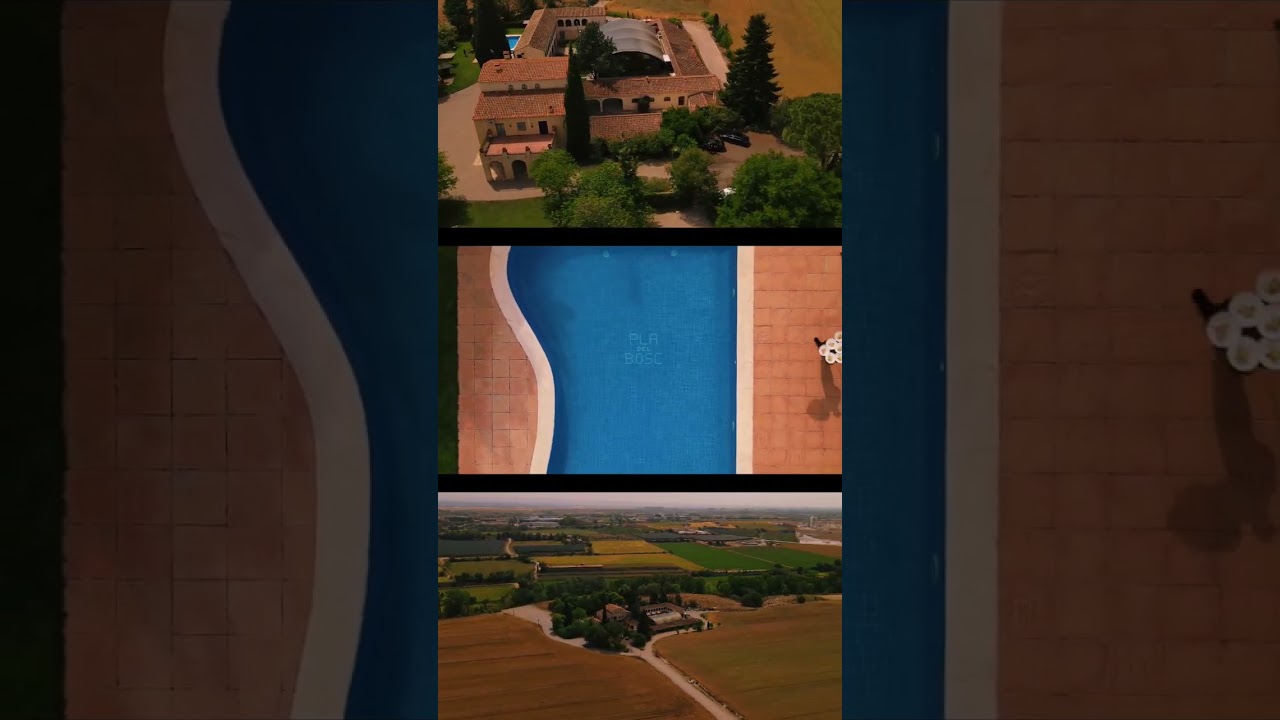 Sumérgete en la Magia Gastronómica de El Pla del Bosc