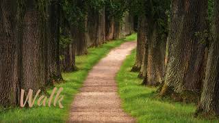 🎹 Walk - Elena Krasnova | Classical Piano Music 🎹