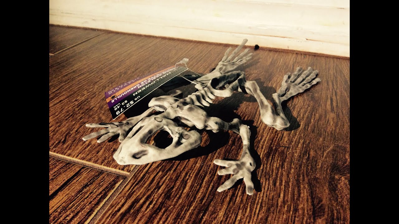 Frog Skeleton | R.I.P. Reviews
