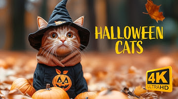 When Halloween Cats Go Trick or Treating | A Purry AI Microfilm