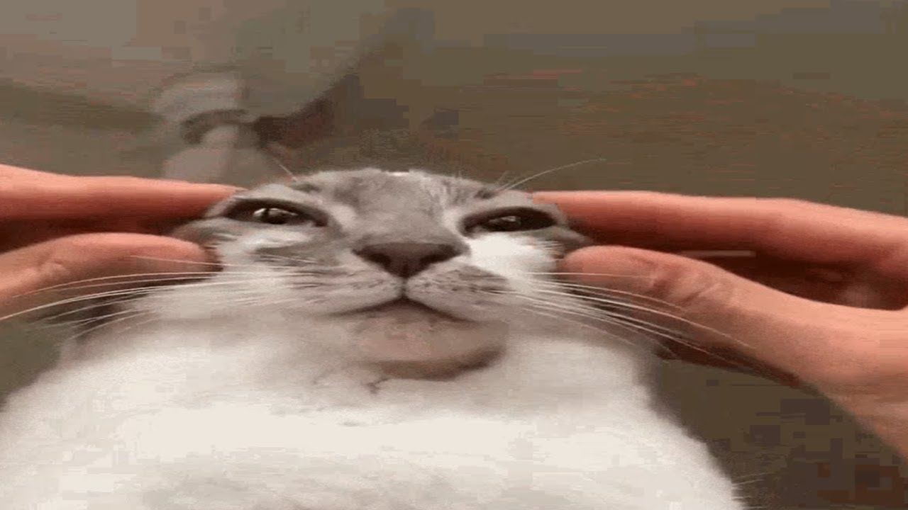 monstergami night pixel pointer