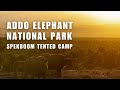 INTENSE SAFARI EXPERIENCE: SPEKBOOM TENTED CAMP &amp; HIDE | Addo Elephant National Park, South Africa