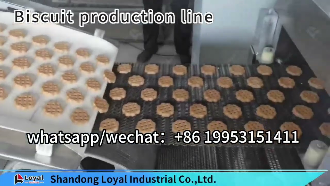 Ligne de production de biscuits moelleux 🍪