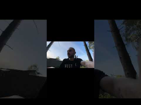 Декстер спрятался от бандитов в лесу!!! чуть не похитили Декстера!!!