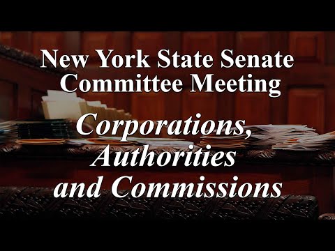 Senate Standing Committee on Corporations, Authorities and Commissions - 04/20/21