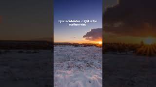 Ljus I Nordvinden - Light In The Northern Wind