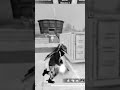 #freefire #freefireesports #freefireindia #freefireshorts #raxff
