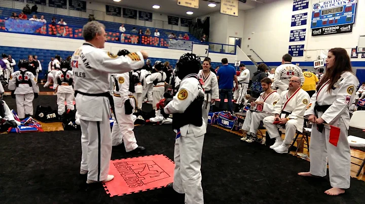 Memphis Regional ATA Taekwondo Tournament - 2/1/14(1)
