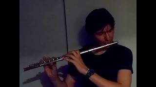 erik satie - gnossienne no.1 (flute cover) & (flüt ile yeniden çalım)