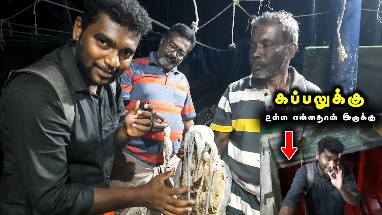 தூத்துக்குடி மீனவர்களின் இரவு வாழ்க்கை | Export Quality Fishes From Thoothukudi Fishing Harbour
