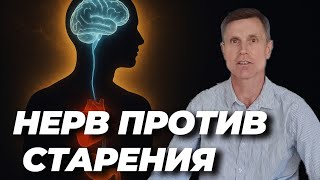 Блуждающий нерв: ключ к долголетию и здоровью. Как повлиять