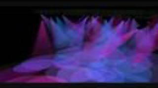Another misc. compu live video
