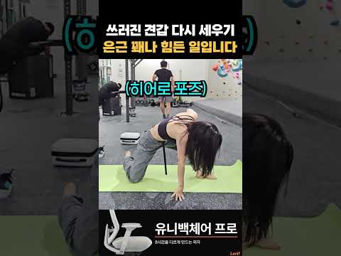 한번 쓰러진 견갑, 다시 세우는 게 쉽지 않습니다
