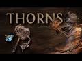 “Thorns” - Life-Stacking Tempest Shield