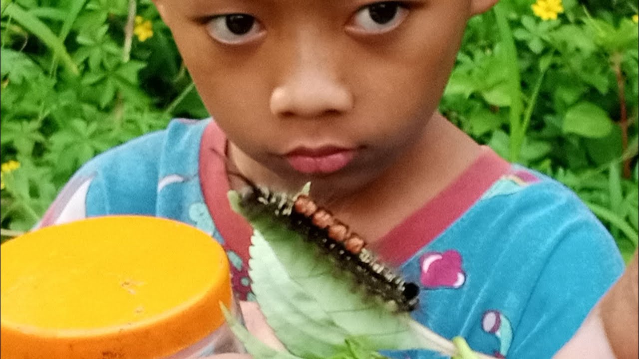 EPS 0015 HUNTING SPIDER GOOD LUCK TENKS 