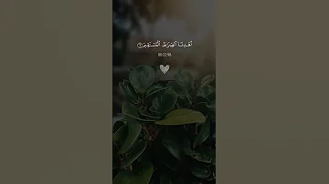 سورة الفاتحة كاملة بصوت جميل 