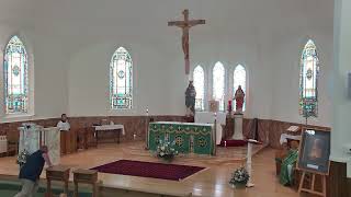 July 5, 2026  Sunday Mass
