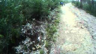 Passeio por Alfena (Porto) vi. 1