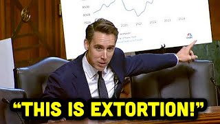 Josh Hawley EXPOSES Credit Card Giants for SCREWING Over Small Businesses!