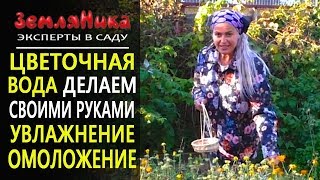 Рецепт омоложения. Натуральная косметика своими руками. Гидролат - натуральная цветочная вода.