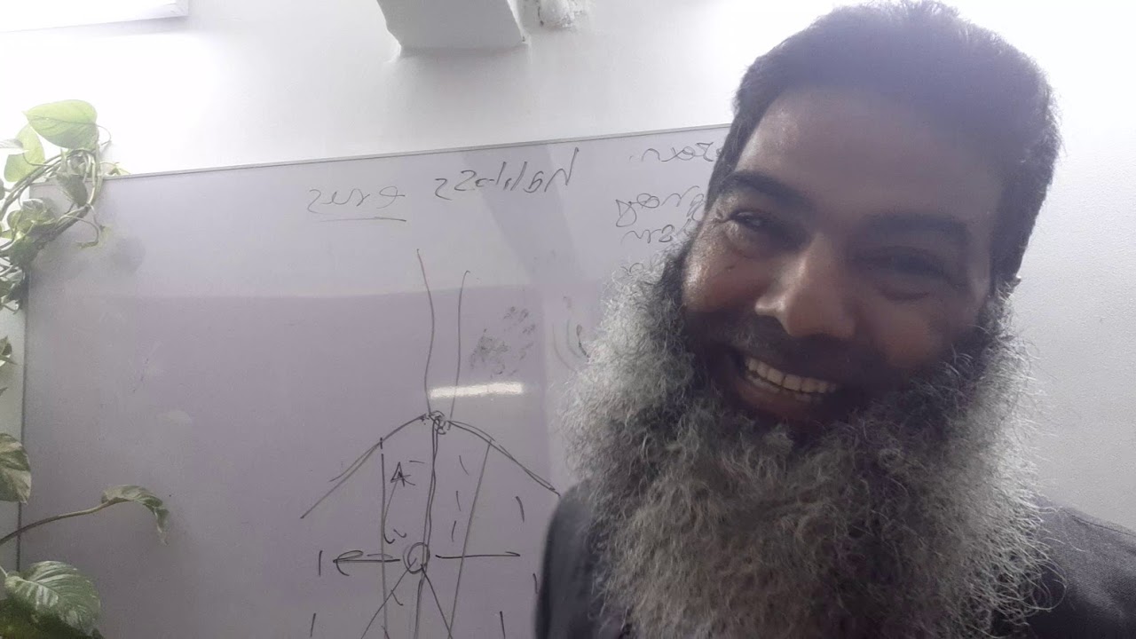 abdominal inspection