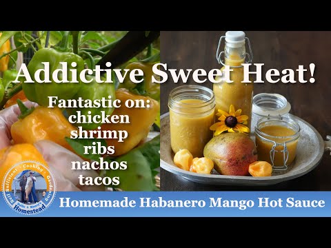 How to make Homemade Habanero Mango Hot Sauce | Addictive Sweet Heat!