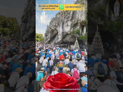 Video Oggi è il giorno in cui la Madonna di Lourdes ti benedice Offri una rosa e che la Madonna porti pace